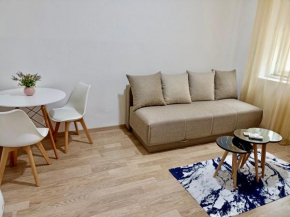 Center Studio Apartment Podgorica